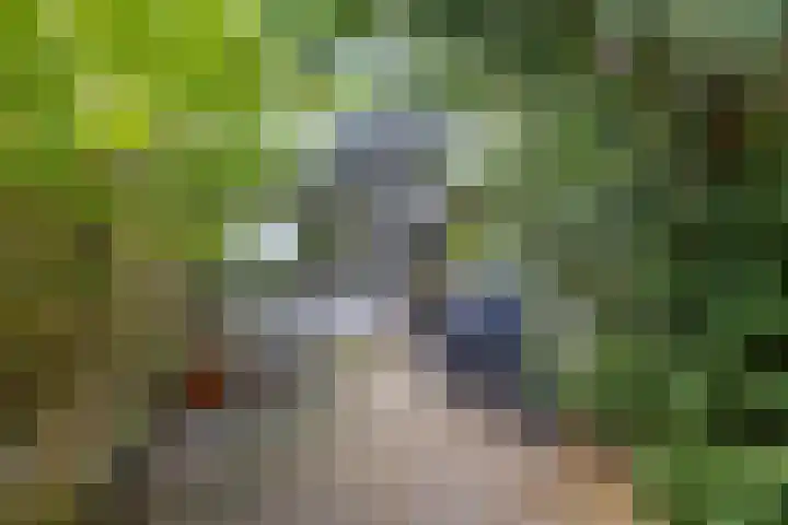 Loppersummergang 14 Groningen thumbnail 4