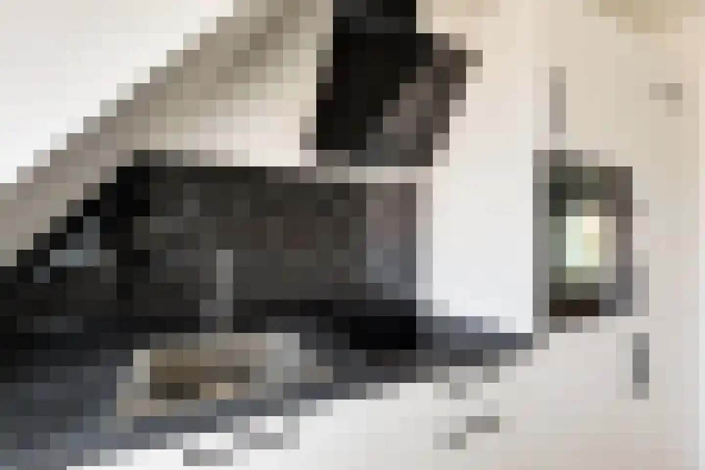 Lopsenstraat 18 A Leiden thumbnail 10