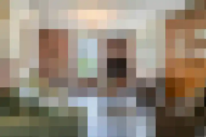 Lorbaan 14 Veulen thumbnail 12