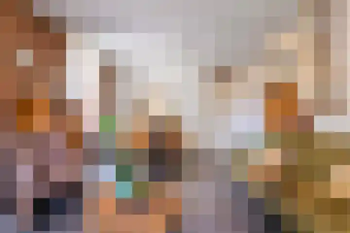 Lorbaan 14 Veulen thumbnail 13