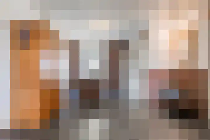 Lorbaan 14 Veulen thumbnail 14