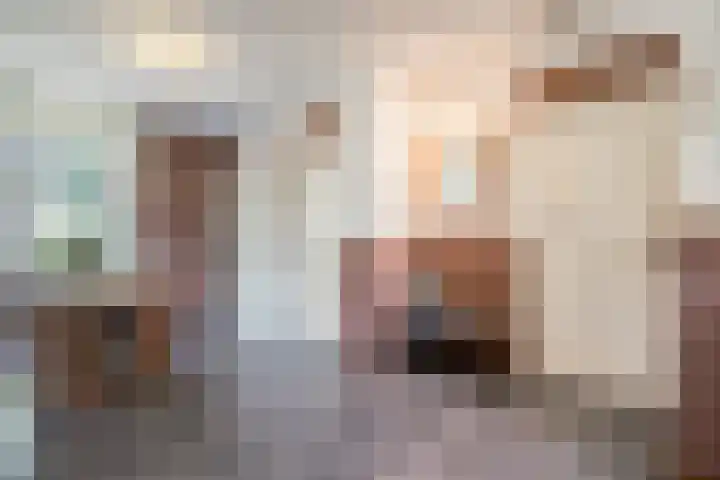 Lorbaan 14 Veulen thumbnail 15