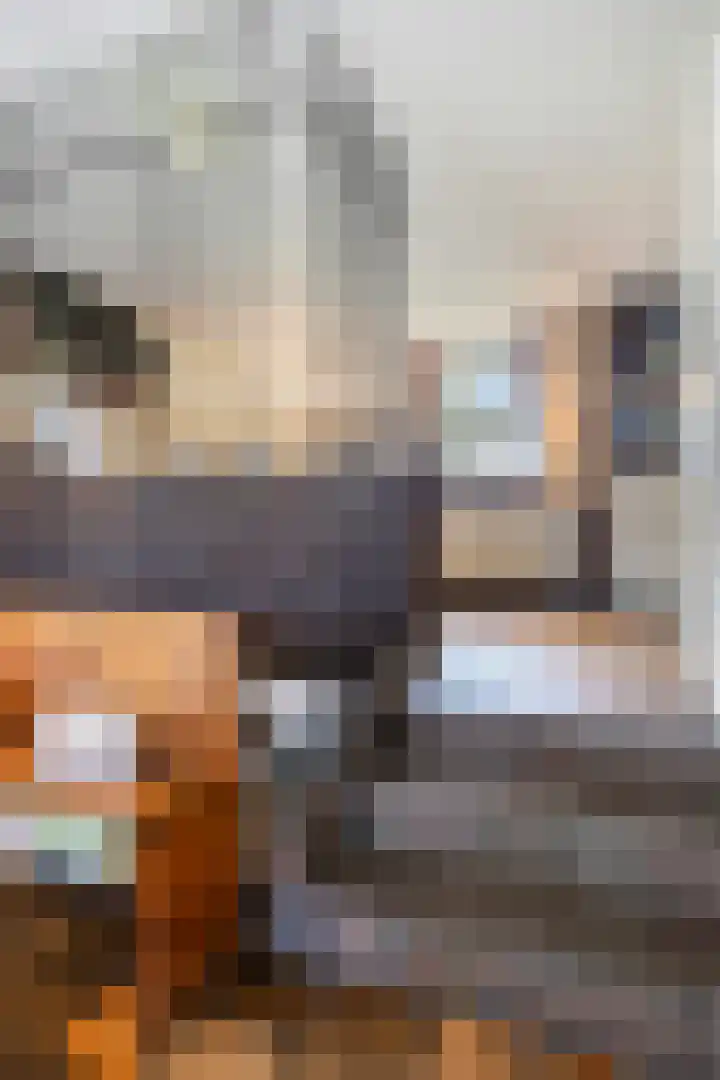 Lorbaan 14 Veulen thumbnail 22