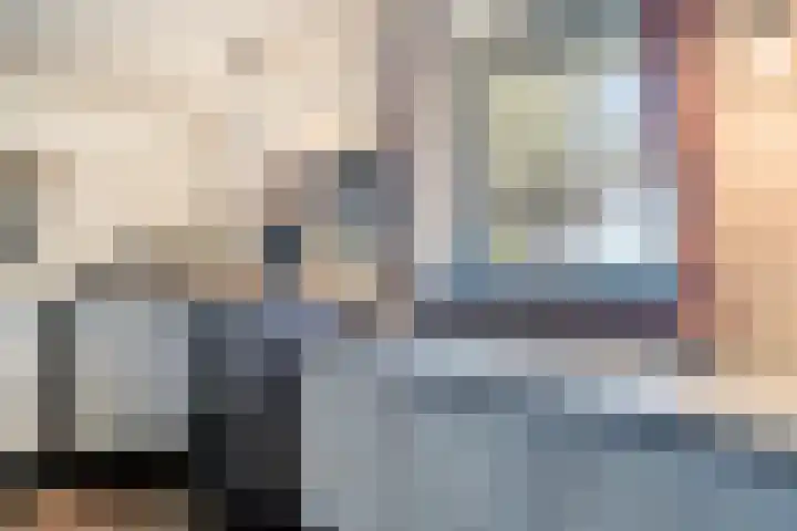 Lorbaan 14 Veulen thumbnail 24