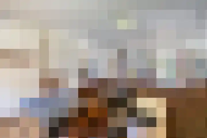 Lorbaan 14 Veulen thumbnail 27