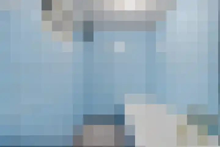 Lorbaan 14 Veulen thumbnail 32