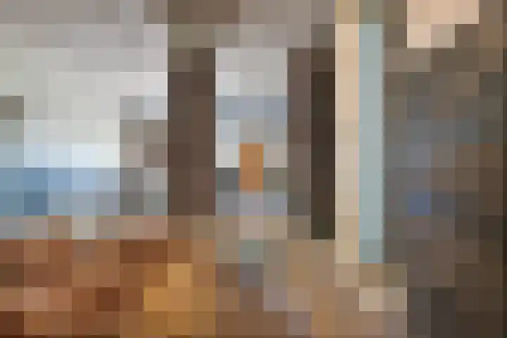 Lorbaan 14 Veulen thumbnail 37