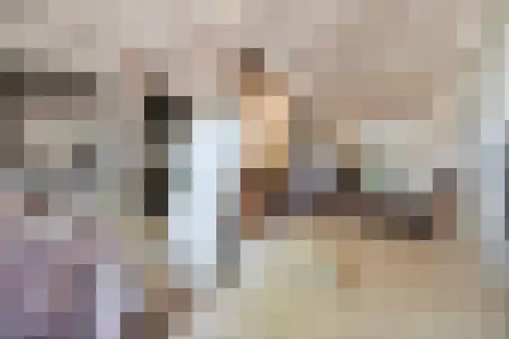 Lorbaan 14 Veulen thumbnail 39