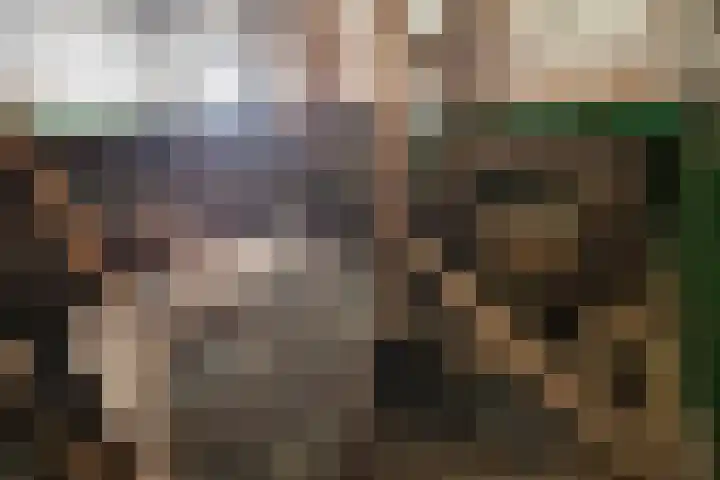 Lorbaan 14 Veulen thumbnail 41