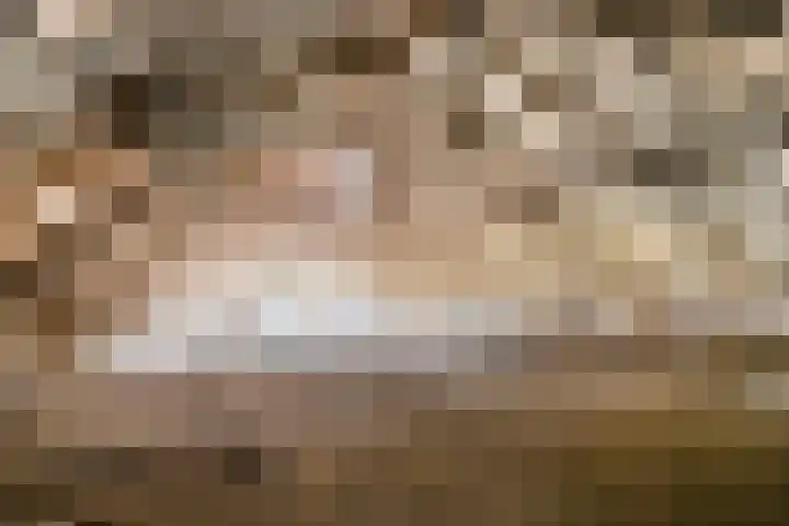 Lorbaan 14 Veulen thumbnail 43
