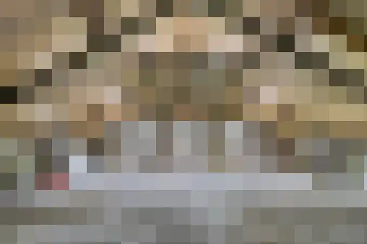 Lorbaan 14 Veulen thumbnail 44