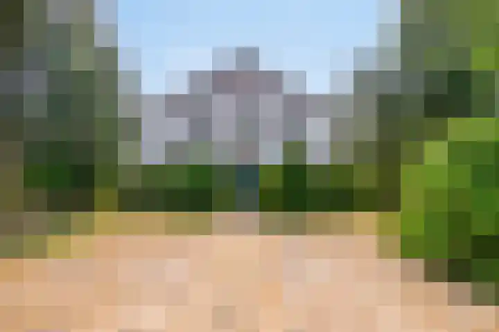 Lorbaan 14 Veulen thumbnail 5