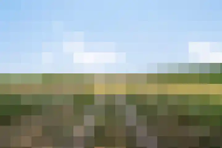 Lorbaan 14 Veulen thumbnail 51