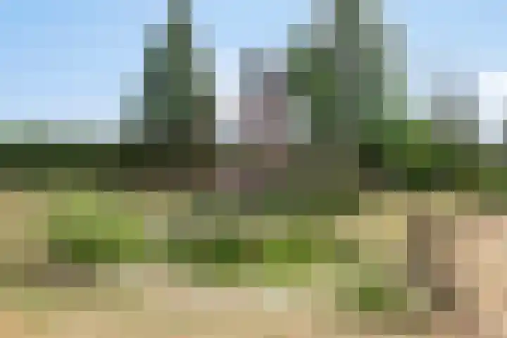 Lorbaan 14 Veulen thumbnail 52