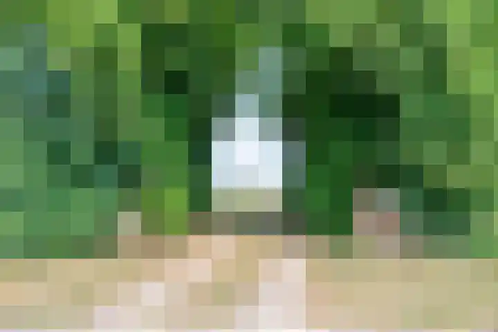 Lorbaan 14 Veulen thumbnail 53