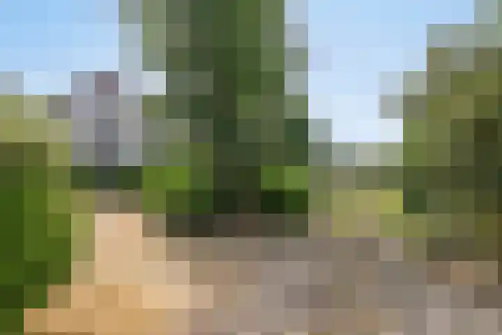 Lorbaan 14 Veulen thumbnail 54