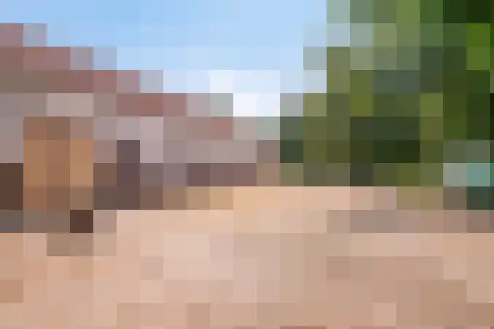 Lorbaan 14 Veulen thumbnail 59