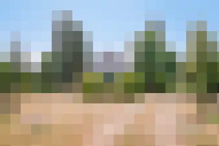Lorbaan 14 Veulen thumbnail 6