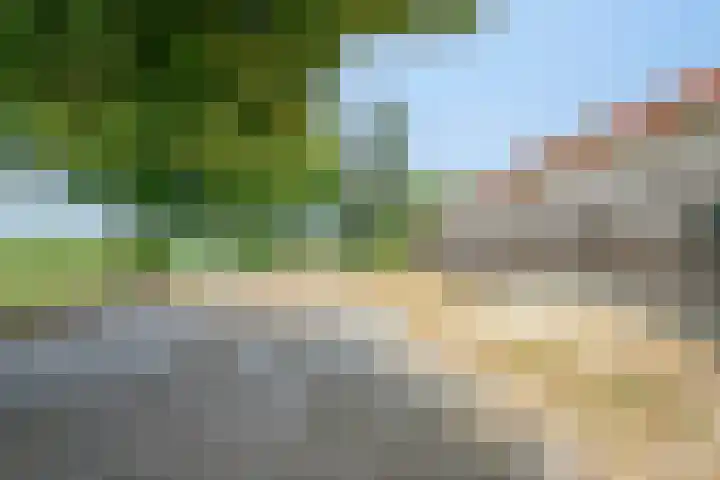 Lorbaan 14 Veulen thumbnail 61