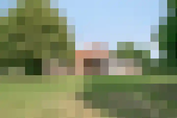 Lorbaan 14 Veulen thumbnail 63