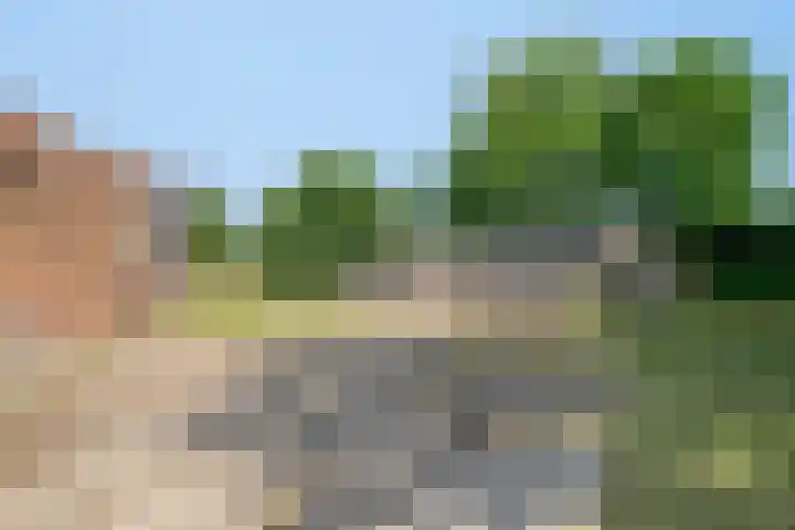 Lorbaan 14 Veulen thumbnail 65