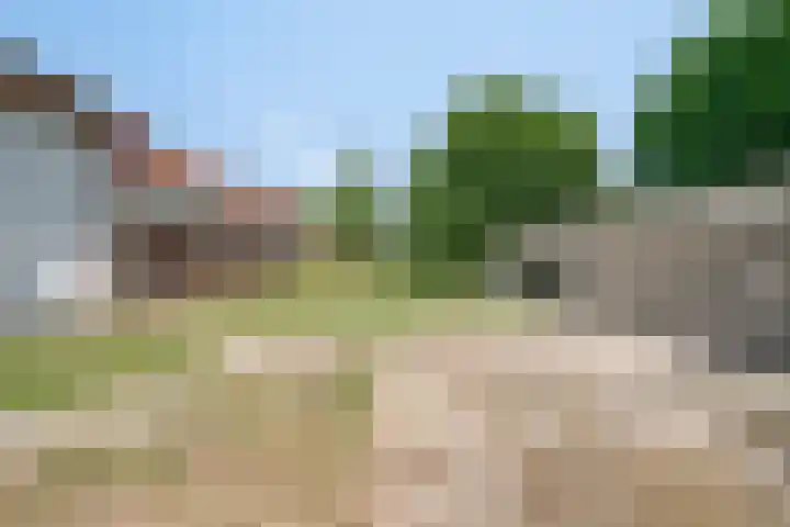 Lorbaan 14 Veulen thumbnail 66