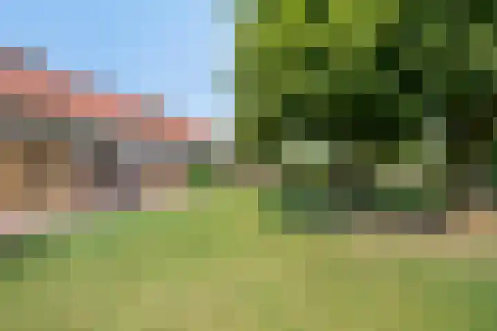 Lorbaan 14 Veulen thumbnail 67