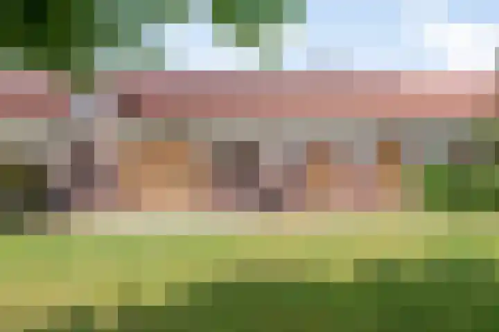 Lorbaan 14 Veulen thumbnail 68