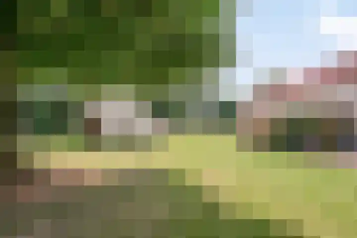 Lorbaan 14 Veulen thumbnail 69
