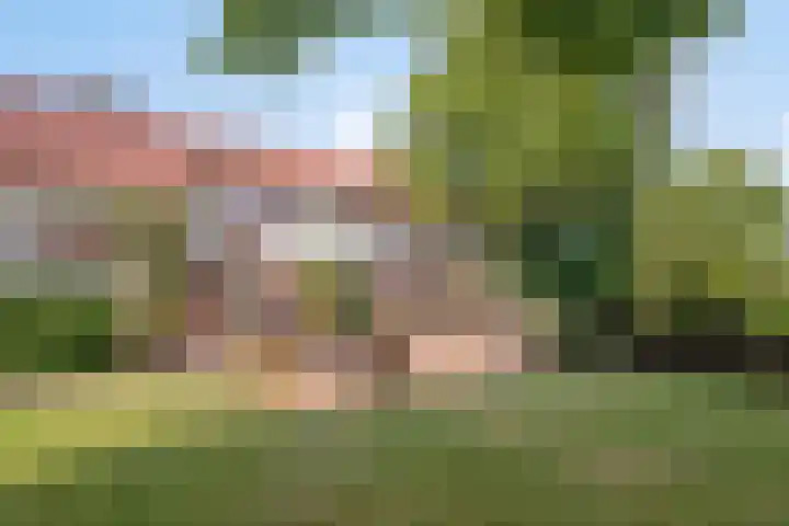 Lorbaan 14 Veulen thumbnail 70