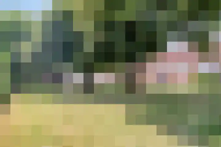 Lorbaan 14 Veulen thumbnail 71
