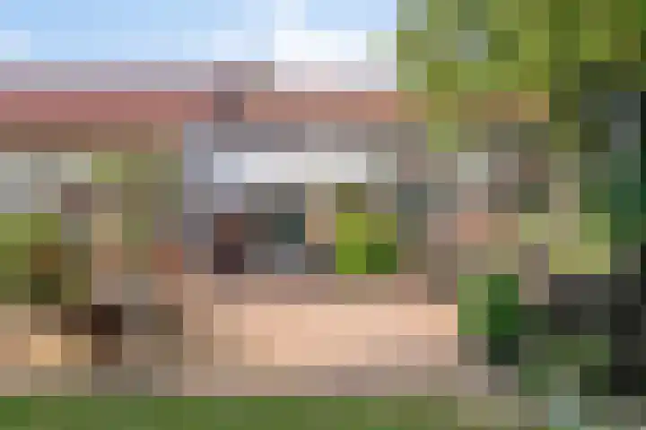 Lorbaan 14 Veulen thumbnail 72