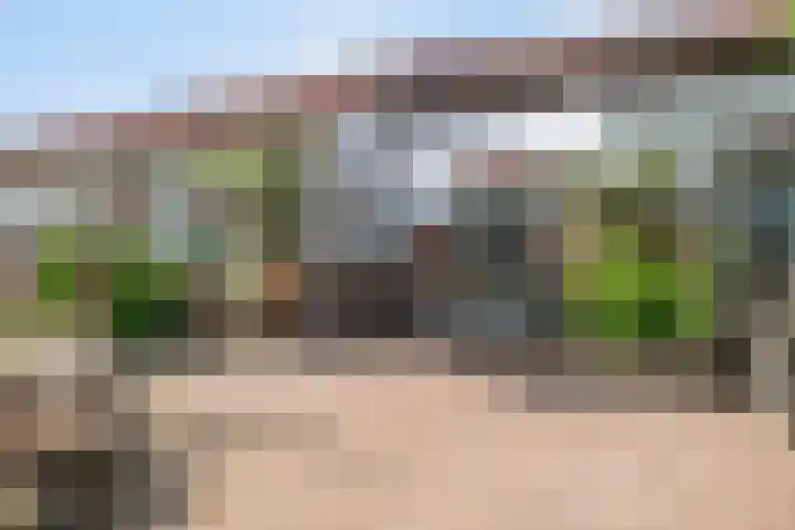 Lorbaan 14 Veulen thumbnail 73
