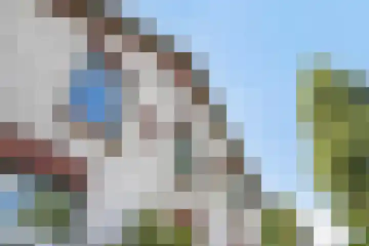 Lorbaan 14 Veulen thumbnail 76