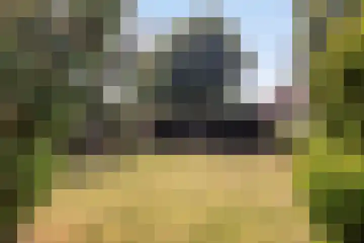 Lorbaan 14 Veulen thumbnail 77