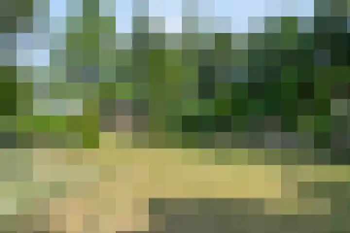 Lorbaan 14 Veulen thumbnail 78