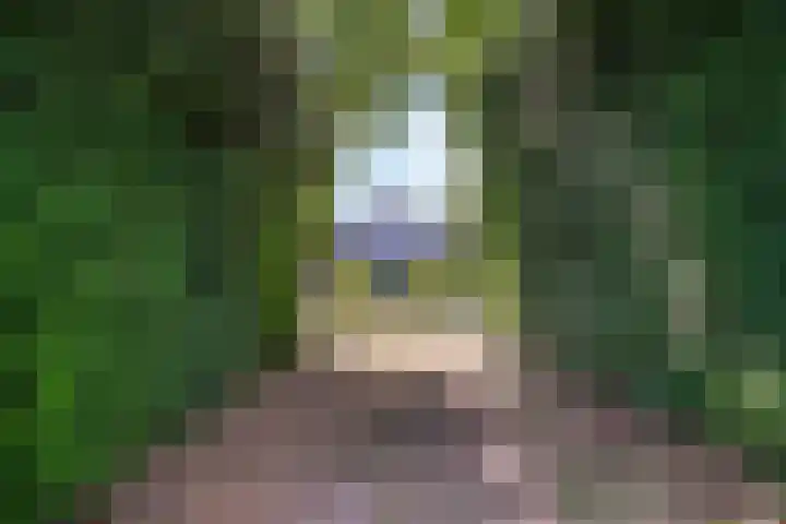 Lorbaan 14 Veulen thumbnail 8