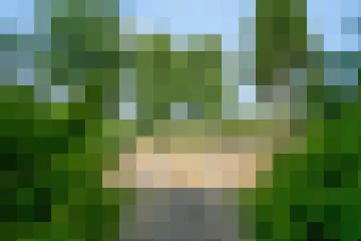 Lorbaan 14 Veulen thumbnail 80