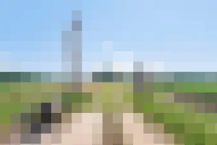 Lorbaan 14 Veulen thumbnail 82