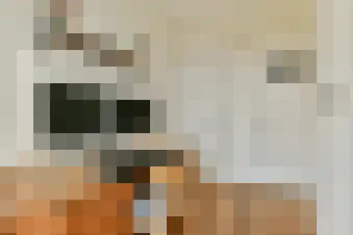 Lord Kelvinstraat 5 2 Amsterdam thumbnail 19