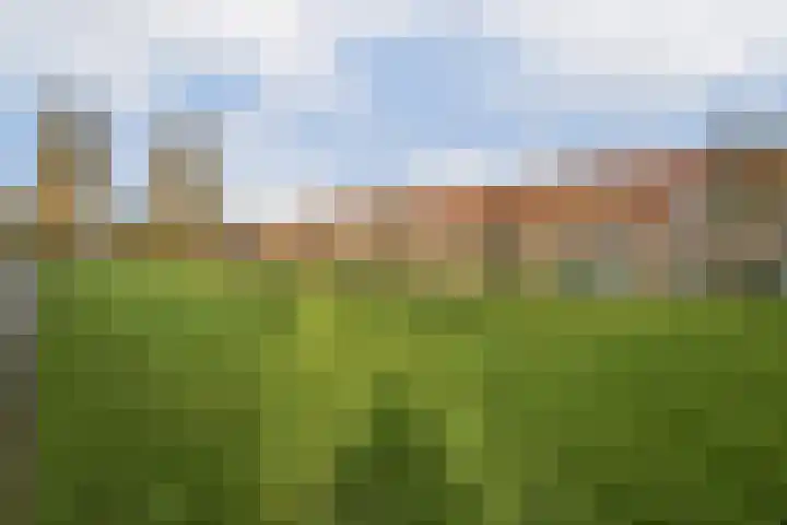 Lord Kelvinstraat 5 2 Amsterdam thumbnail 24