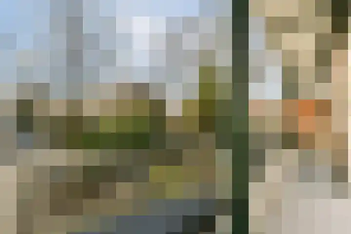 Lord Kelvinstraat 5 2 Amsterdam thumbnail 8