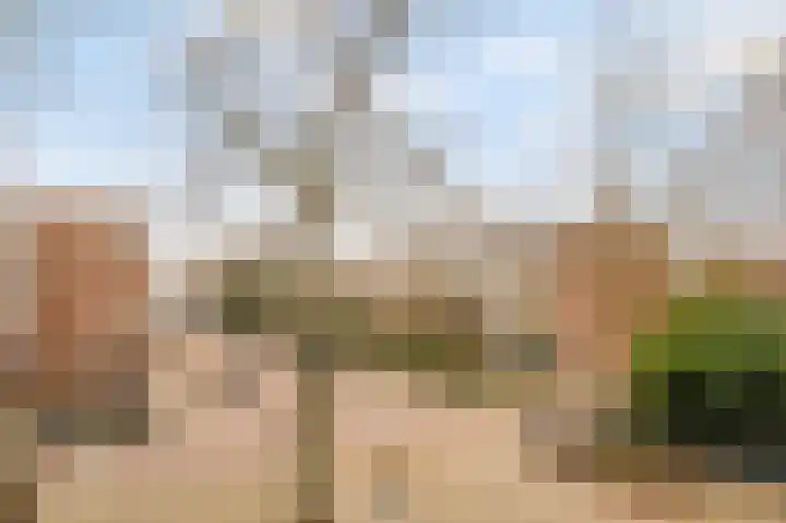 Lord Kelvinstraat 8 2 Amsterdam thumbnail 25