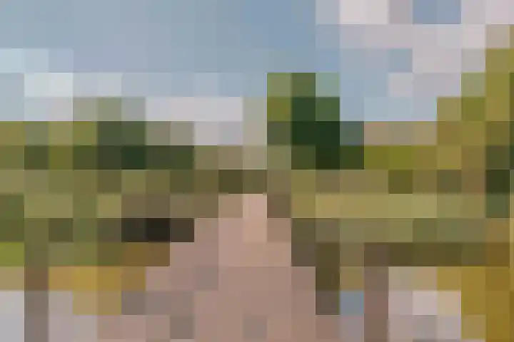 Lord Kelvinstraat 8 2 Amsterdam thumbnail 29