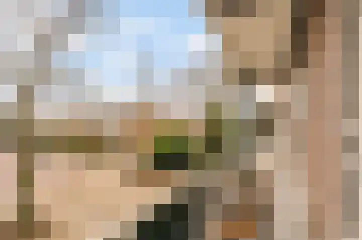 Lord Kelvinstraat 8 2 Amsterdam thumbnail 8