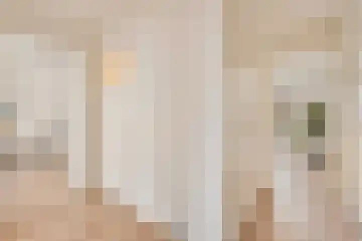 Lord Kelvinstraat 8 2 Amsterdam thumbnail 9