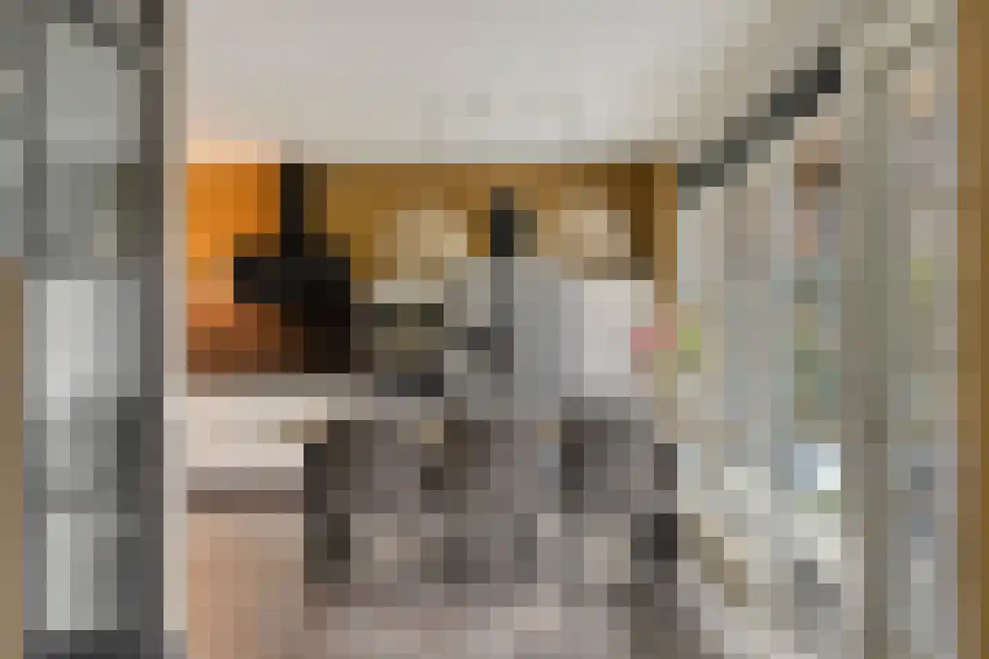 Lorentzbaan 6 Nieuwegein thumbnail 11