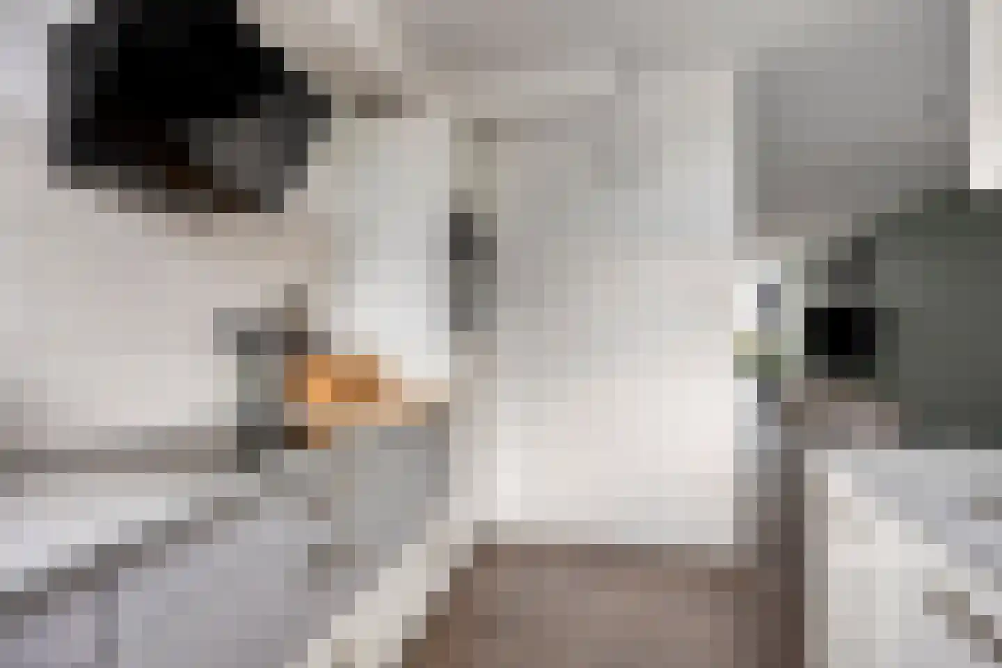 Lorentzdreef 14 Maassluis thumbnail 11