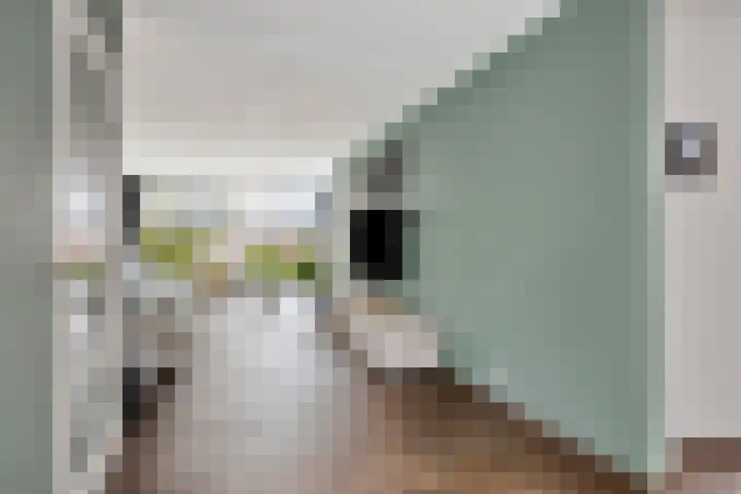 Lorentzdreef 14 Maassluis thumbnail 12