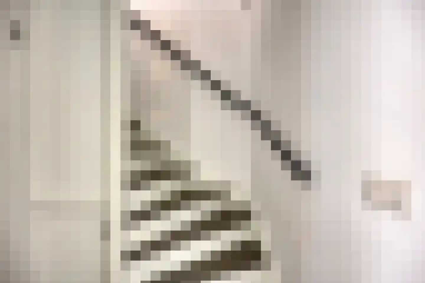 Lorentzdreef 14 Maassluis thumbnail 17